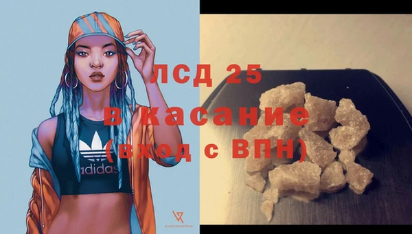 прущие крисы Пересвет