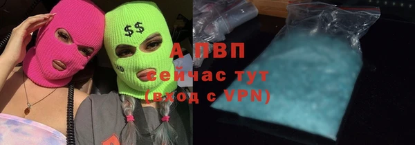 сатива Пестово